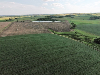 SOLD!!! 239 acres of Crop & Hunting in Roberts County - image 3