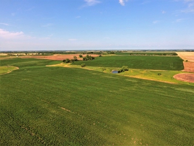 SOLD!!! 239 acres of Crop & Hunting in Roberts County - image 8