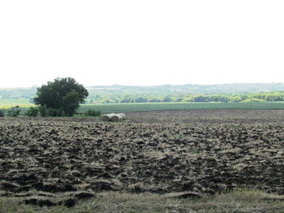 SOLD!!! 239 acres of Crop & Hunting in Roberts County - image 12