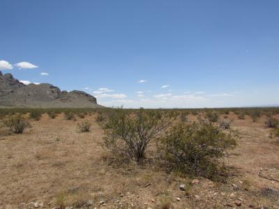 1/2 acre at the base of the Florida Mountains Deming NM - image 1