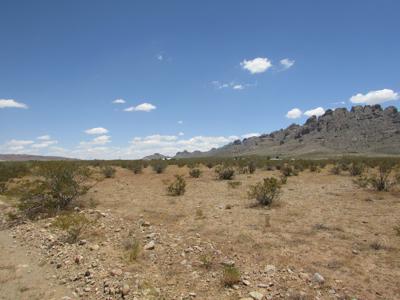 1/2 acre at the base of the Florida Mountains Deming NM - image 3