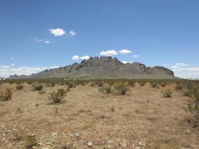 1/2 acre at the base of the Florida Mountains Deming NM - image 2