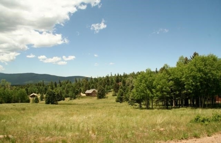 Building Lot in Angel Fire Resort, near Golf & Ski, NM - image 2