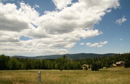 Building Lot in Angel Fire Resort, near Golf & Ski, NM - image 3