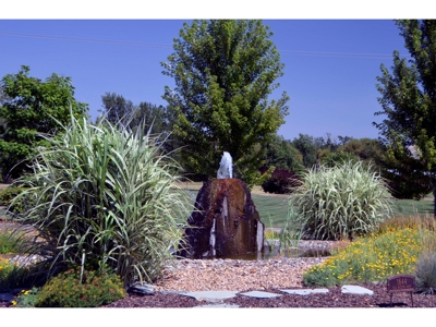 Country Home Acreage Walla Walla WA Walla Walla Wine Country - image 4