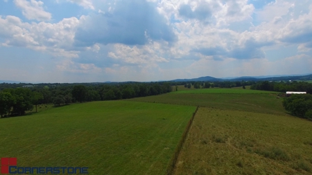 76+ Acres of Pristine Shenandoah Valley Homestead Land - image 8