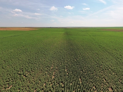 SOLD! 478.60 Acres of Crop and Pasture Land in Hughes Co SD - image 11