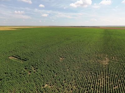 SOLD! 478.60 Acres of Crop and Pasture Land in Hughes Co SD - image 13