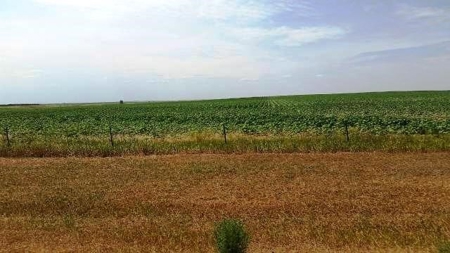 SOLD! 478.60 Acres of Crop and Pasture Land in Hughes Co SD - image 1