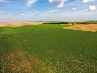 SOLD! 478.60 Acres of Crop and Pasture Land in Hughes Co SD - image 14