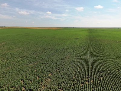 SOLD! 478.60 Acres of Crop and Pasture Land in Hughes Co SD - image 10