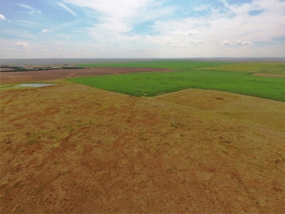 SOLD! 478.60 Acres of Crop and Pasture Land in Hughes Co SD - image 5