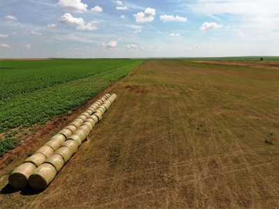 SOLD! 478.60 Acres of Crop and Pasture Land in Hughes Co SD - image 3