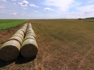 SOLD! 478.60 Acres of Crop and Pasture Land in Hughes Co SD - image 4
