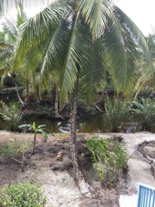 Bocas Beach Home is now  UNDER CONTRACT - image 22