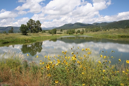 Chama river frontage land for Sale Chama NM - image 5