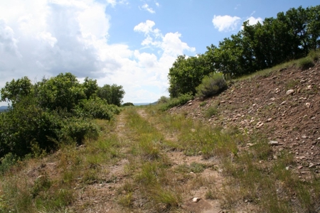 Chama river frontage land for Sale Chama NM - image 3