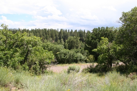 Chama river frontage land for Sale Chama NM - image 12