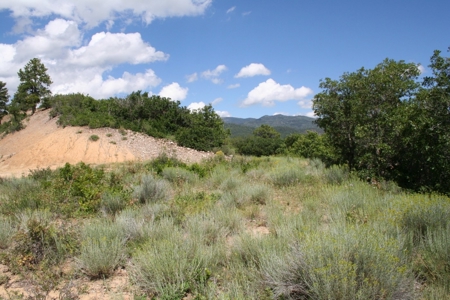 Chama river frontage land for Sale Chama NM - image 9