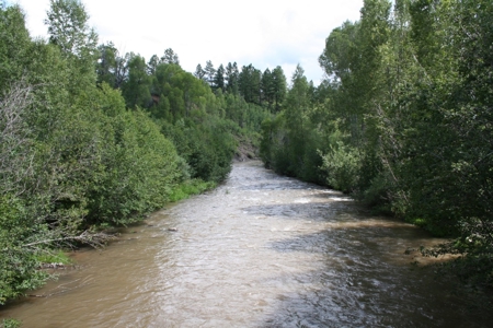 Chama river frontage land for Sale Chama NM - image 2