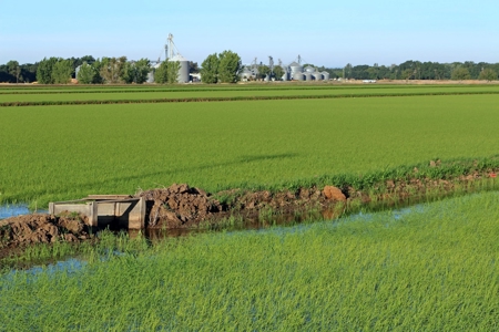 Farms in California, Orchards & CA Agriculture Property - image 15