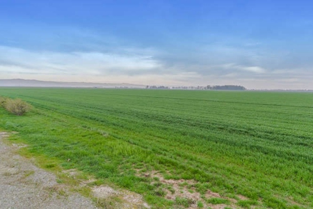 Farms in California, Orchards & CA Agriculture Property - image 6