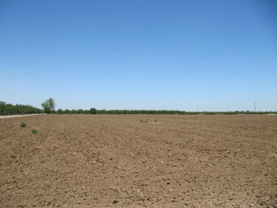 Farms in California, Orchards & CA Agriculture Property - image 9