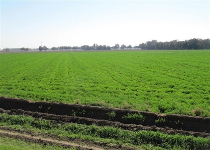 Farms in California, Orchards & CA Agriculture Property - image 1