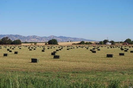 Farms in California, Orchards & CA Agriculture Property - image 11