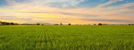Farms in California, Orchards & CA Agriculture Property - image 17