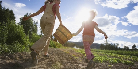 Farms in California, Orchards & CA Agriculture Property - image 13