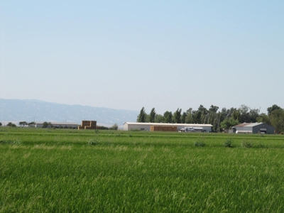 Farms in California, Orchards & CA Agriculture Property - image 4