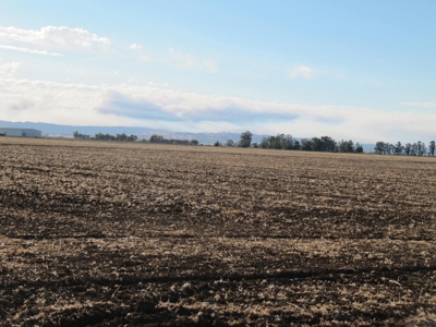 Farms in California, Orchards & CA Agriculture Property - image 5