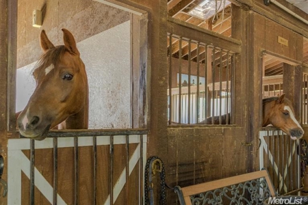 California Ranches For Sale - image 11