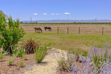 California Ranches For Sale - image 5