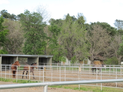 California Ranches For Sale - image 9