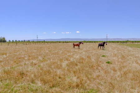 California Ranches For Sale - image 4