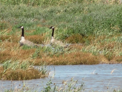 California Hunting Properties For Sale - image 3