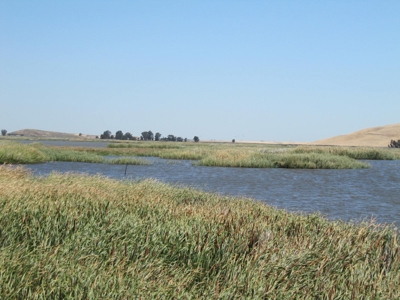 California Hunting Properties For Sale - image 2