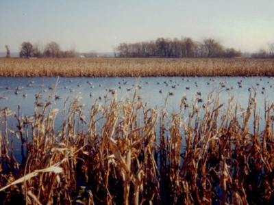 California Hunting Properties For Sale - image 8