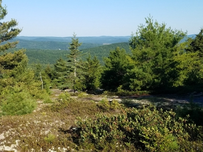 Maine Land for Sale in Frankfort - image 2