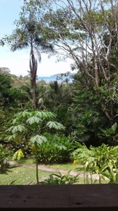 Bocas del Toro Rain  forest home w/ Ocean view - image 5