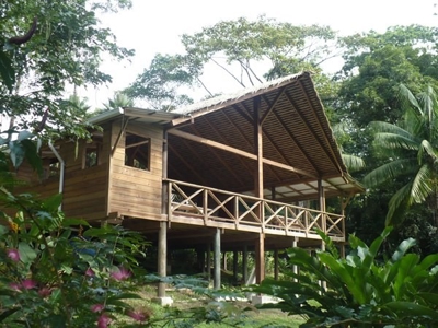 Bocas del Toro Rain  forest home w/ Ocean view - image 10