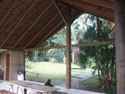 Bocas del Toro Rain  forest home w/ Ocean view - image 12