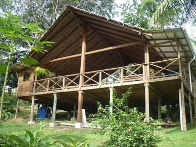 Bocas del Toro Rain  forest home w/ Ocean view - image 9