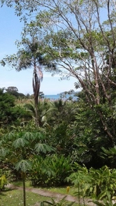 Bocas del Toro Rain  forest home w/ Ocean view - image 8