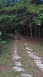 Luxury Home and Large Land 82+ Acres in Danville, VA - image 29
