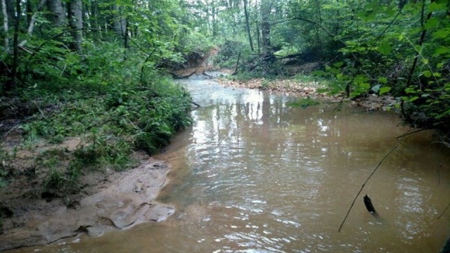 Luxury Home and Large Land 82+ Acres in Danville, VA - image 12