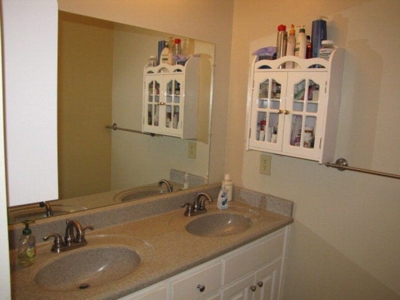 Luxury Home and Large Land 82+ Acres in Danville, VA - image 2