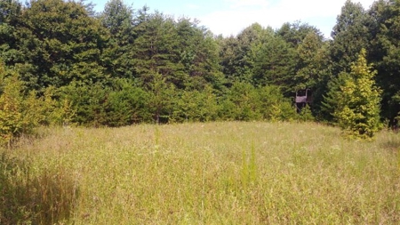 Luxury Home and Large Land 82+ Acres in Danville, VA - image 30